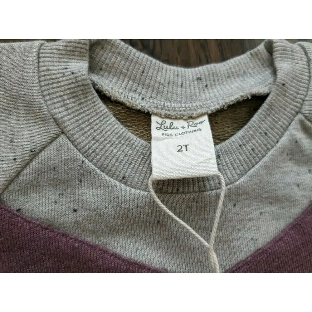 Lulu + Roo Heathered Sand Chevron Patch Crewneck Sweatshirt Size 2T NEW